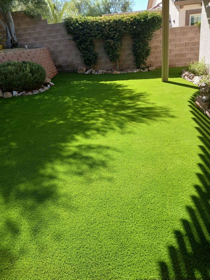 A well-maintained backyard in Paradise Valley, AZ features lush artificial grass. A brick wall adorned with climbing plants encloses the area. Low-maintenance shrubs line the wall, and tree shadows dance on the ground. A small covered patio graces the right side.